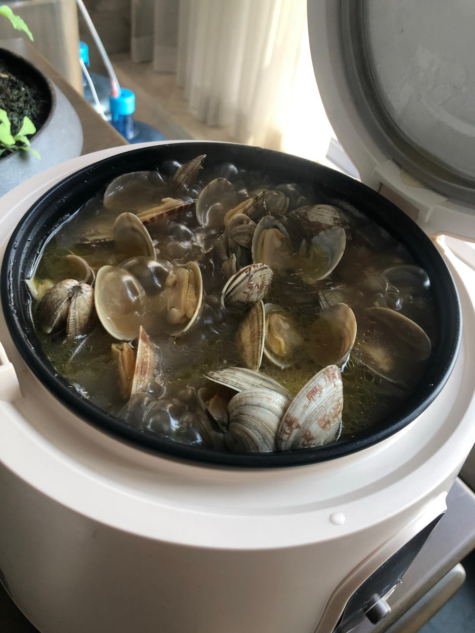 家庭版花甲粉丝