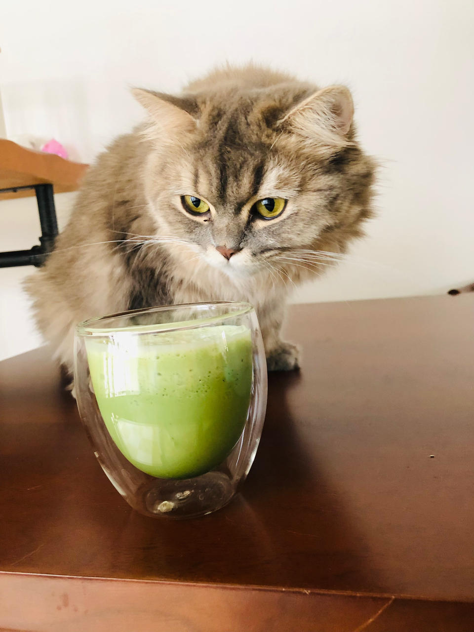 星爸爸的秘方（3年星巴克咖啡大师经验）