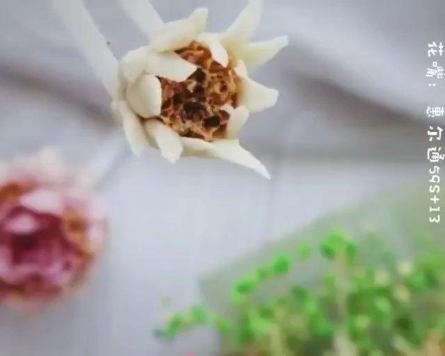 自然系韩式裱花:洋甘菊的做法