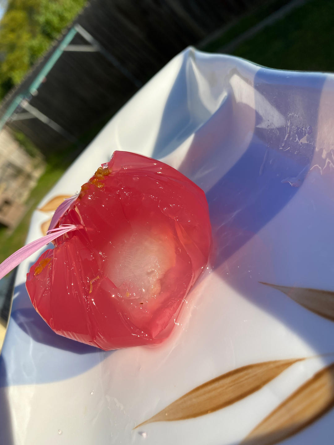 梦华录•春水生