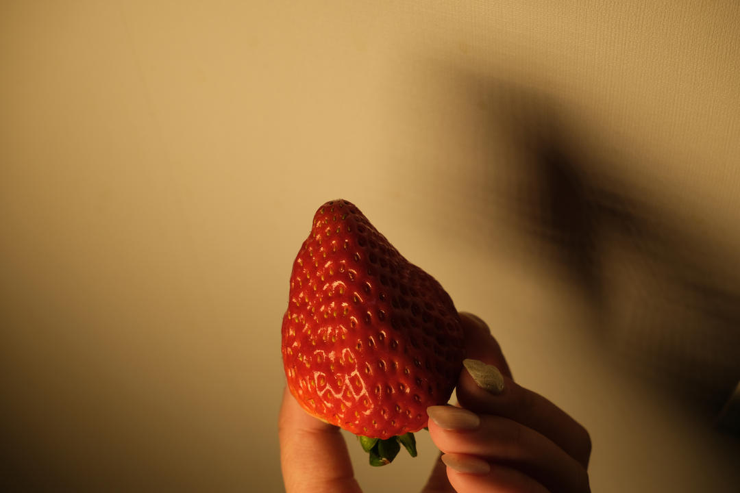 忙里偷闲吃饭饭