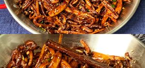 素食素食的封面