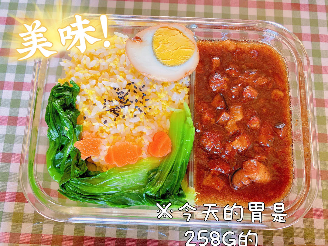 洋葱酥卤肉饭