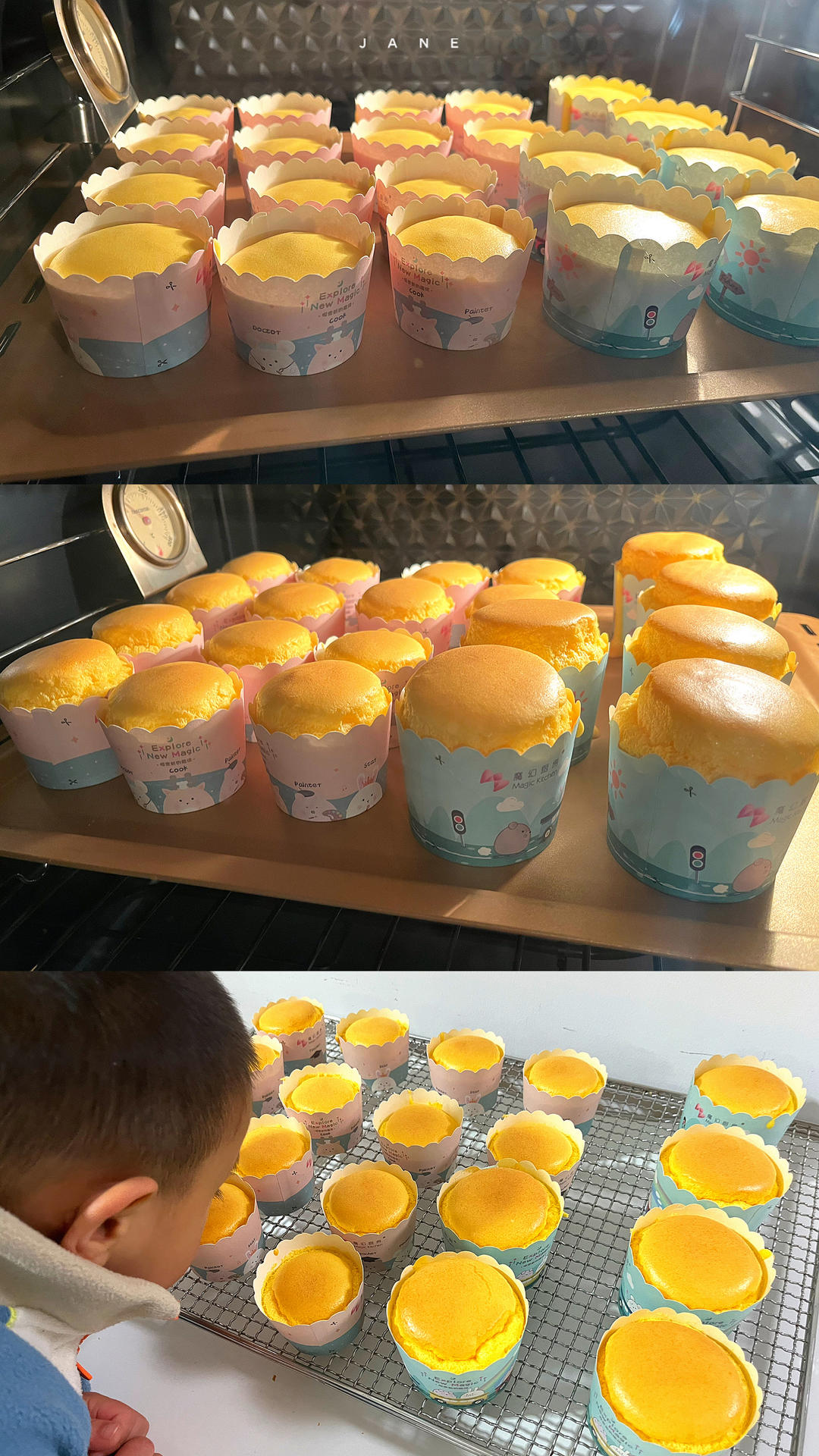 北海道戚风杯