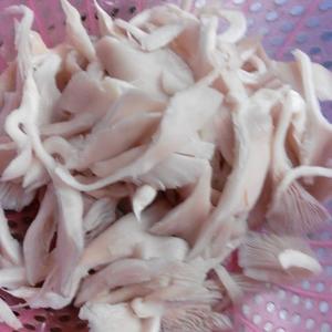 蘑菇白菜肉片汤的做法 步骤2