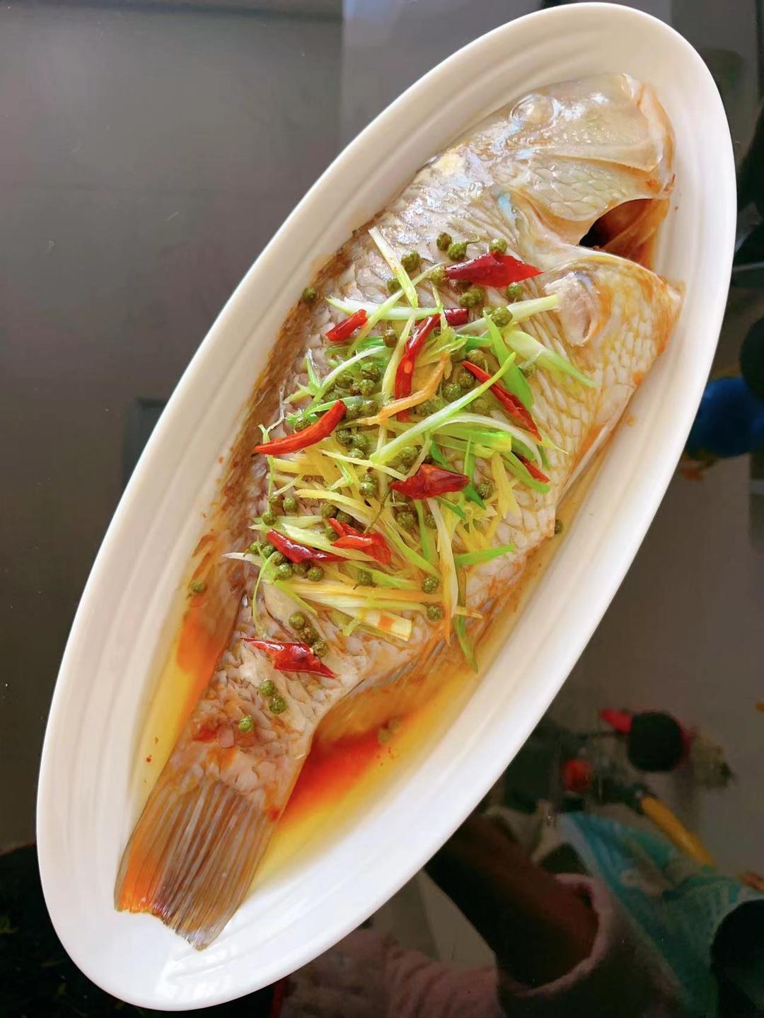 油泼青衣藤椒蒸(舒氏猪齿鱼)