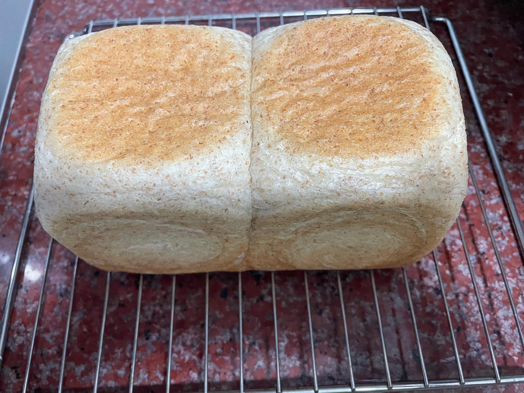 全麦吐司～17小时冷藏中种