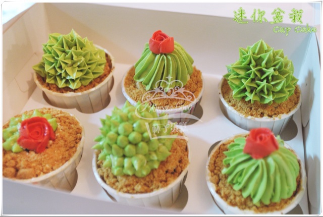 多肉植物仙人球杯子蛋糕（抹茶草莓可可cupcake）