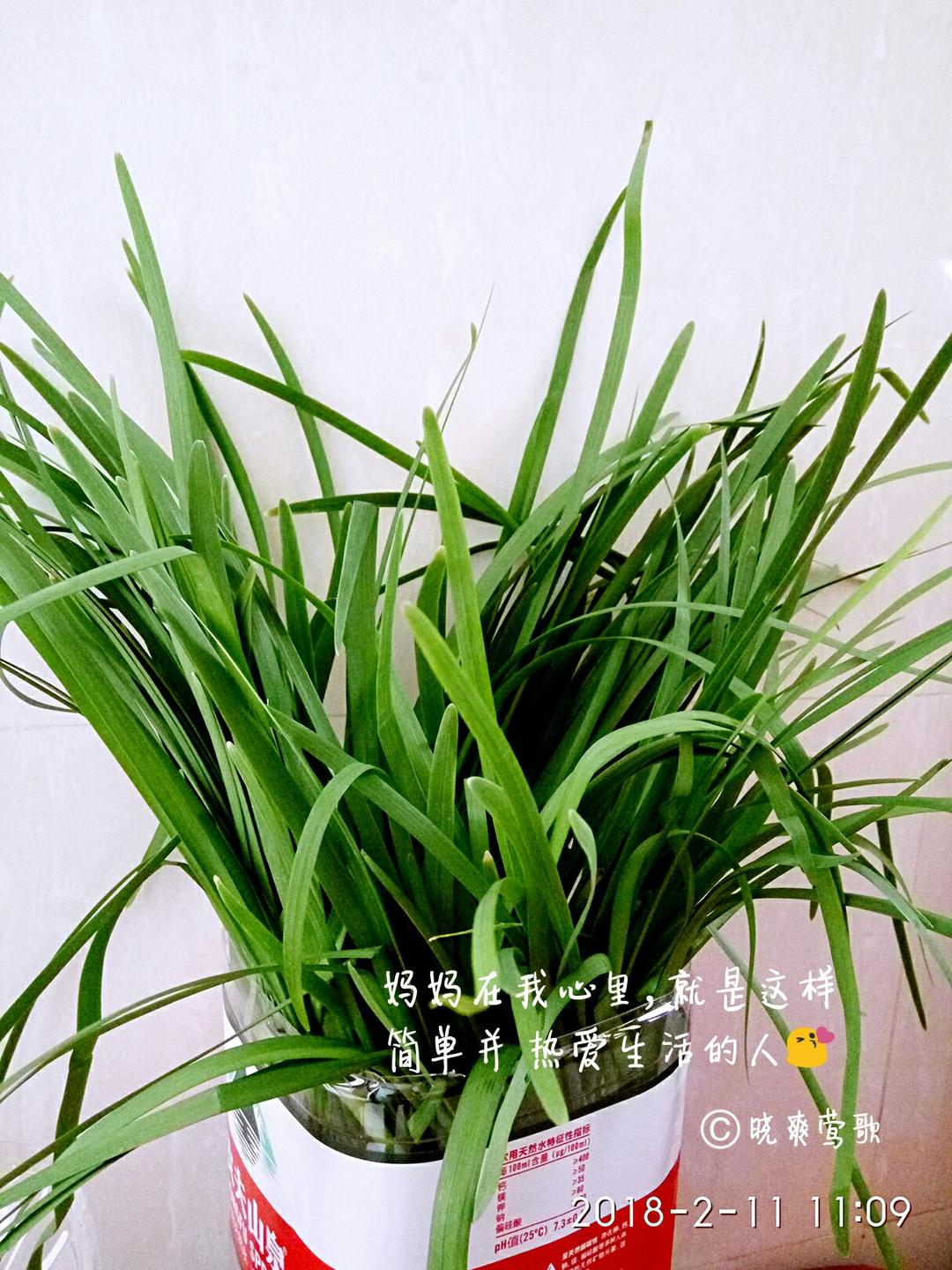回忆父母的爱