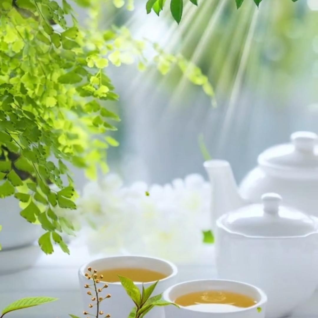 好運天使s