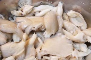 蘑菇炖鸡肉的做法 步骤2