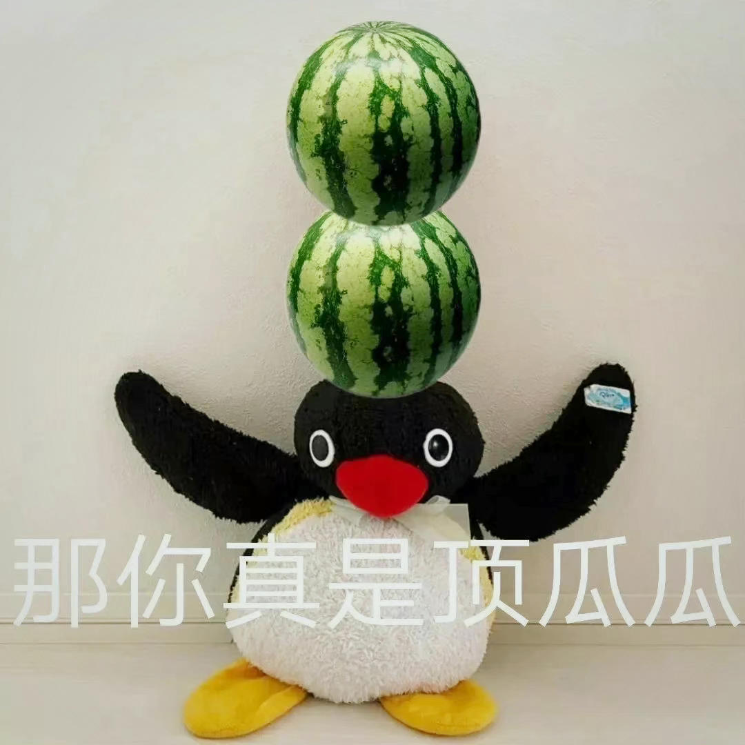 小浣熊的七七