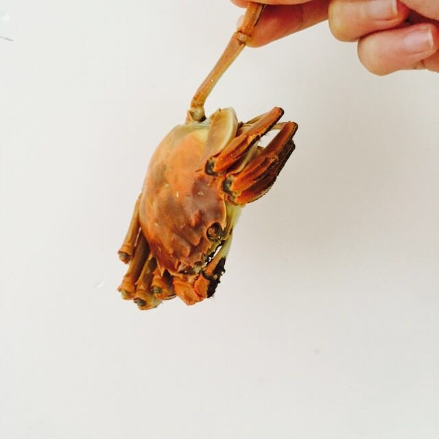 小妮纸的beautiful life