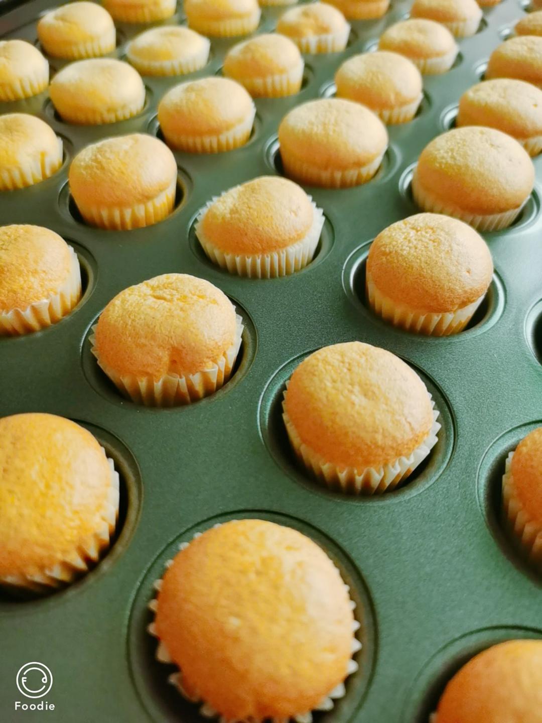 视频👶一口一个｜超可爱｜原味｜mini宝宝小蛋糕｜48连24连通用