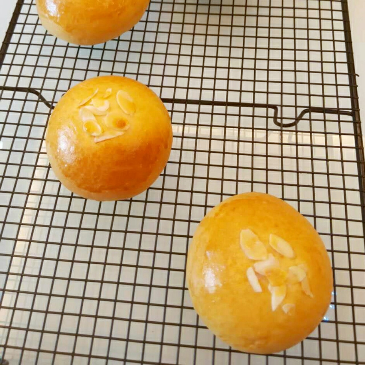 鲜奶红豆包