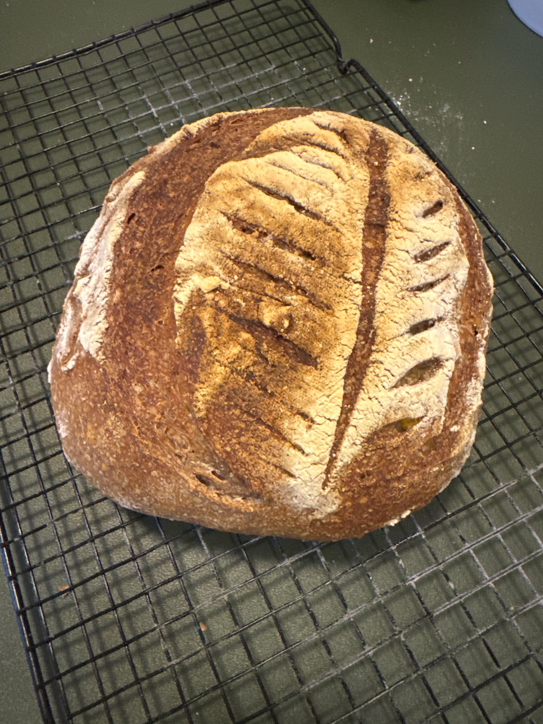 【Sourdough】天然酵种红薯欧包（附不同割包刀片使用体会）