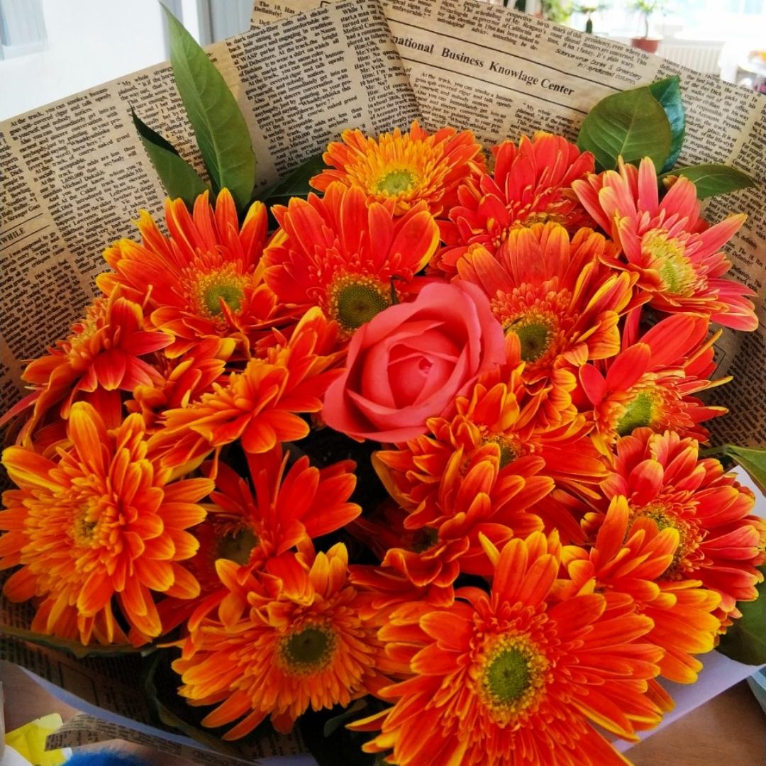 爱徒步的刘小厨