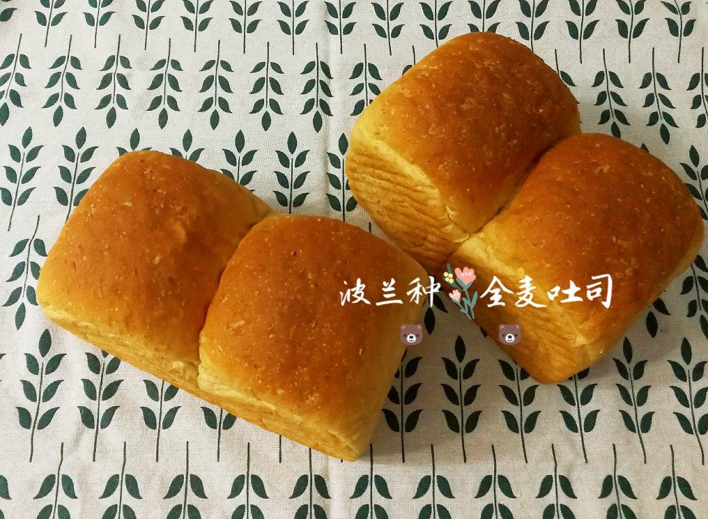 波兰种全麦吐司