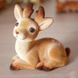 毛毛毛脑袋太躁