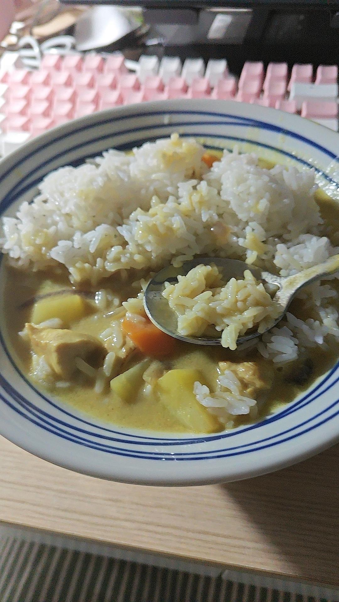 零失败日式咖喱鸡肉饭！！最正宗日本家庭做法！简单又好吃！