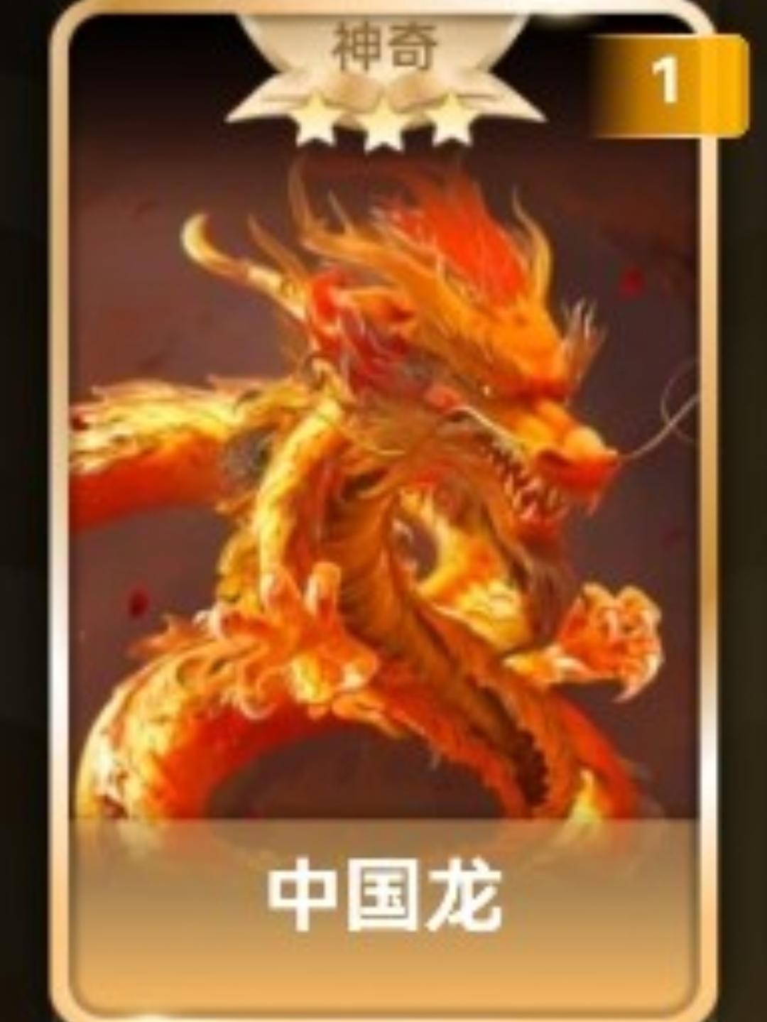 小厨新手666