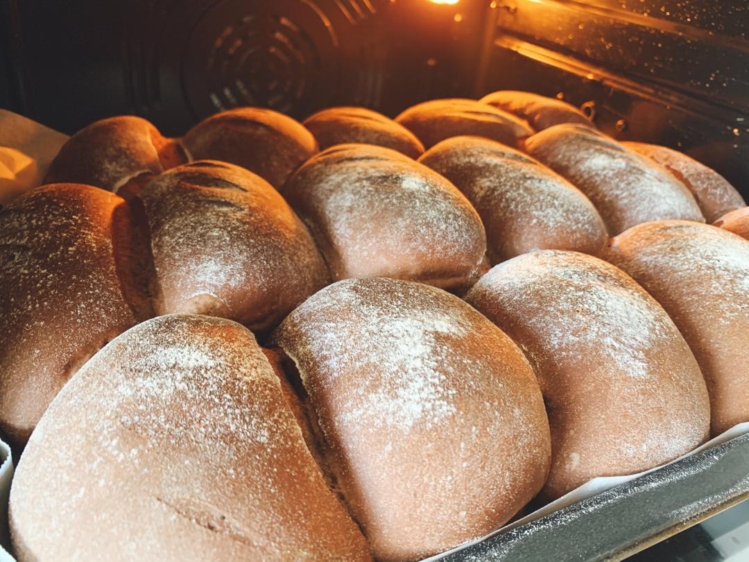 Cocoa Milk Bread 可可巧克力牛奶面包