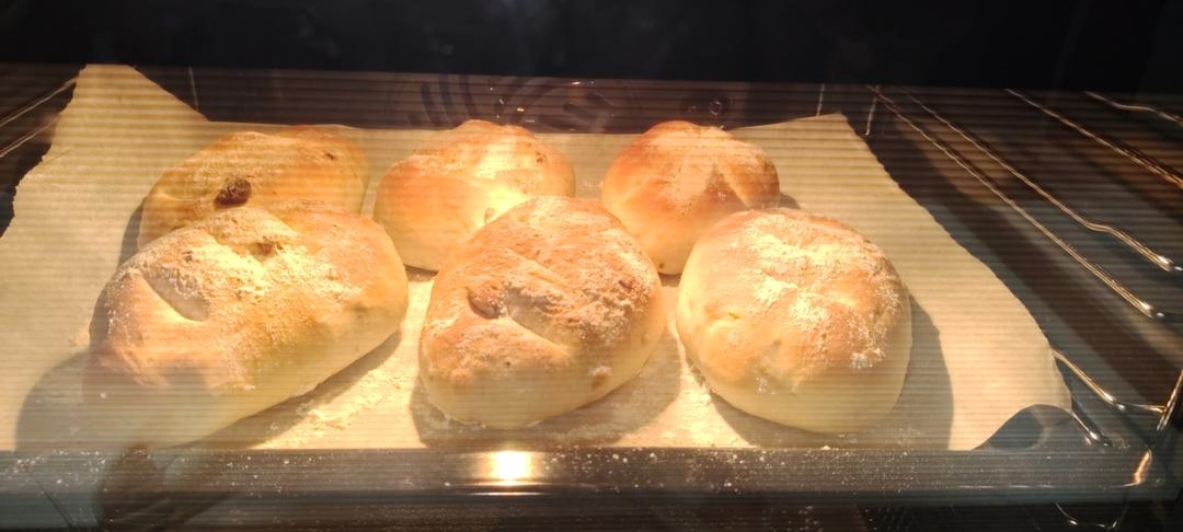 自由欧包（波兰种）