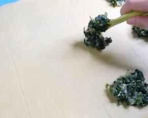 德国菠菜饺子Maultaschen的做法 步骤4