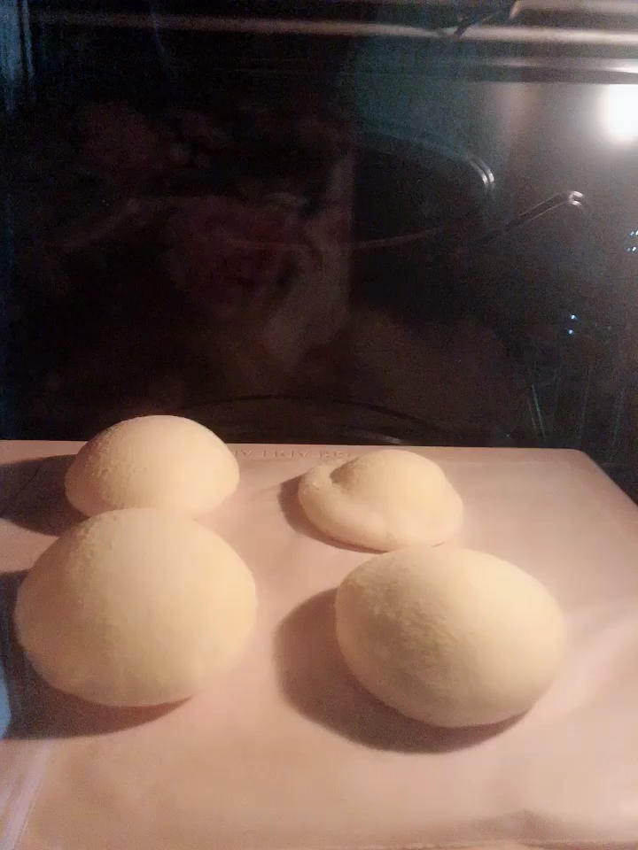 皮塔饼