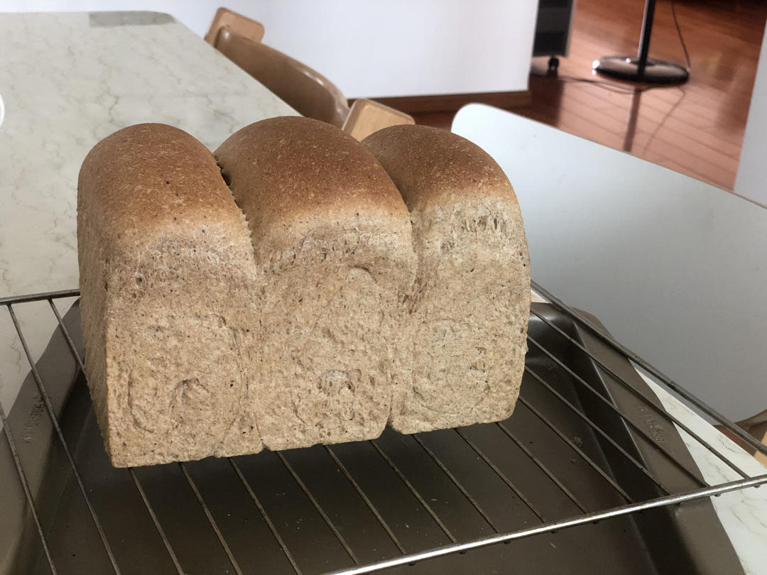 双种芝麻全麦吐司 100%全麦 烫种+波兰种