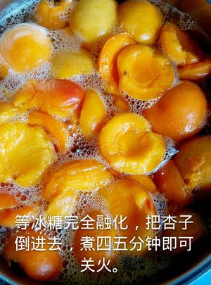 糖水杏子罐头的做法 步骤5
