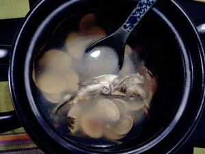 野生小石斑文蛤枸杞汤的做法 步骤5