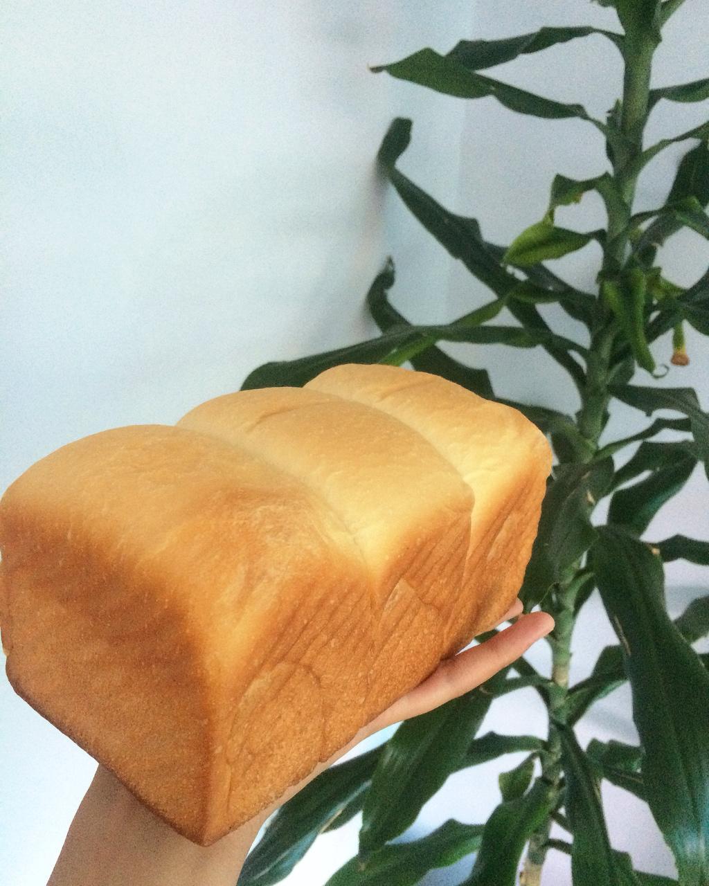 早餐白吐司          （庞多米 Pain de mie）