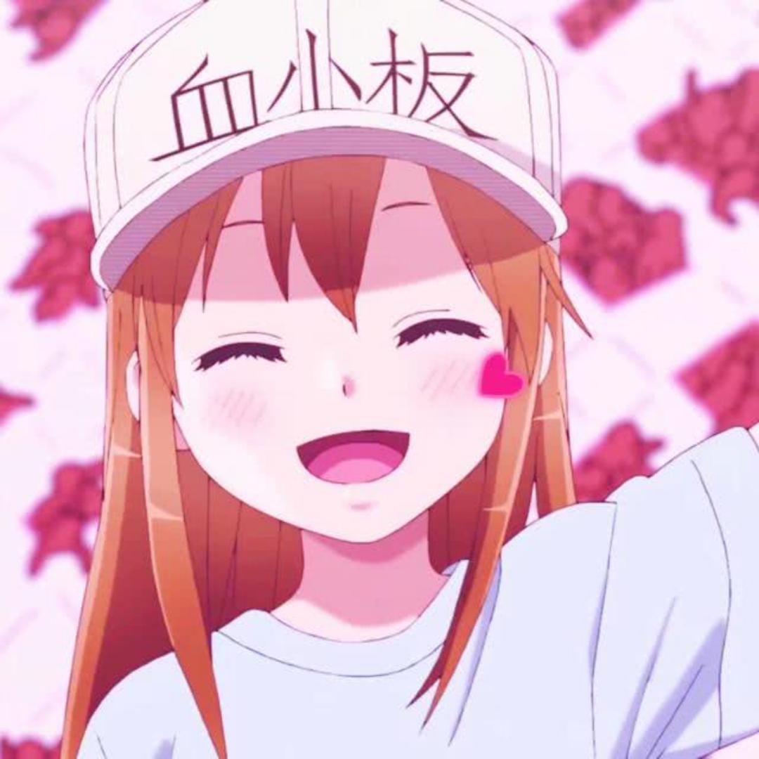 佛系选手L