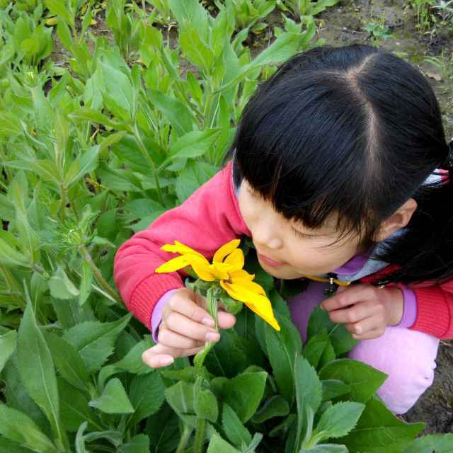 新奇特茶点