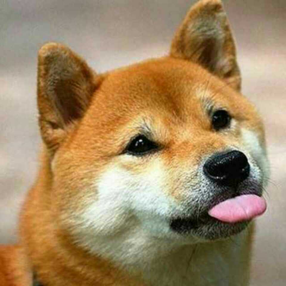 Halo_阿泽