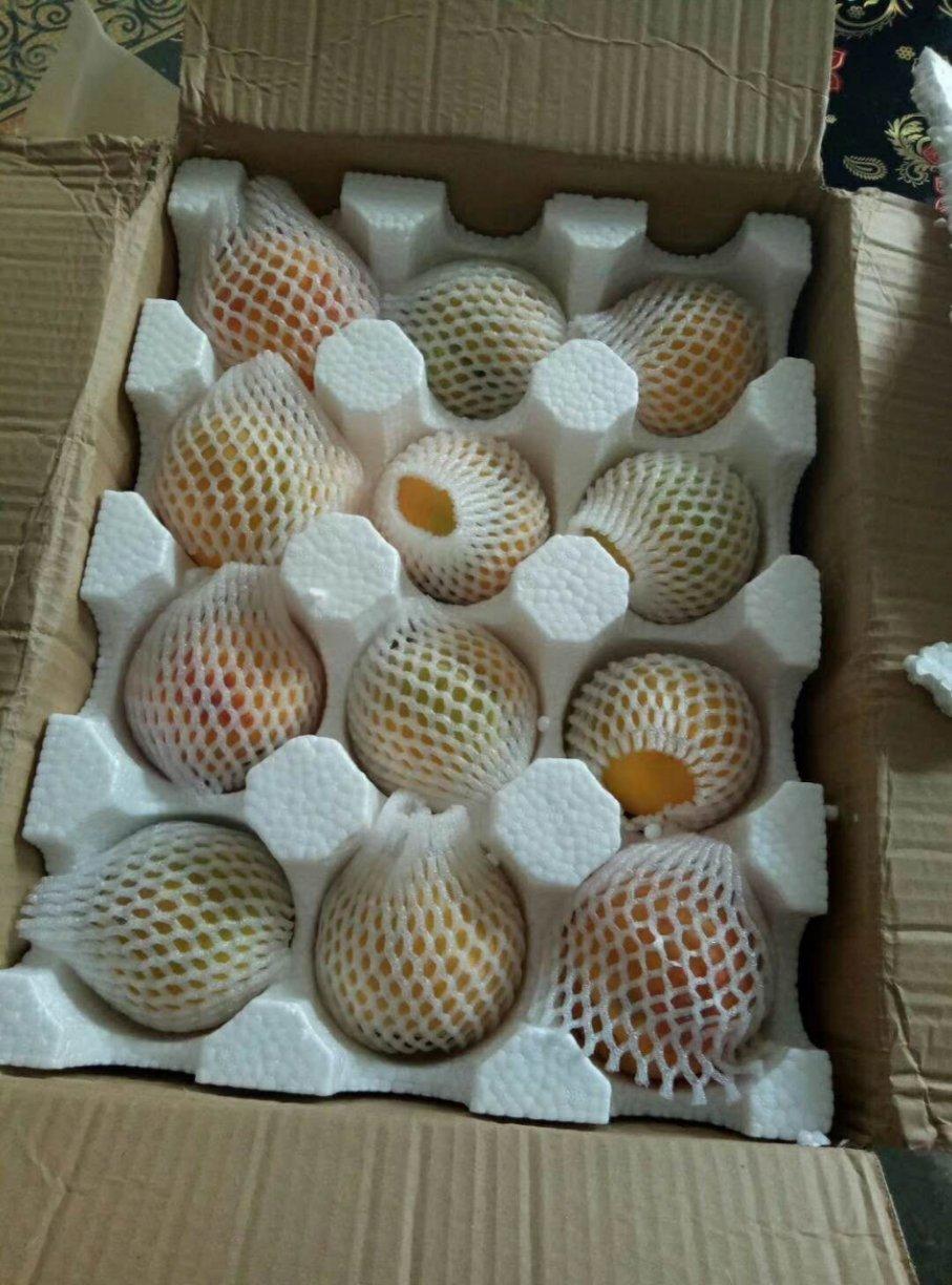 黄桃罐头