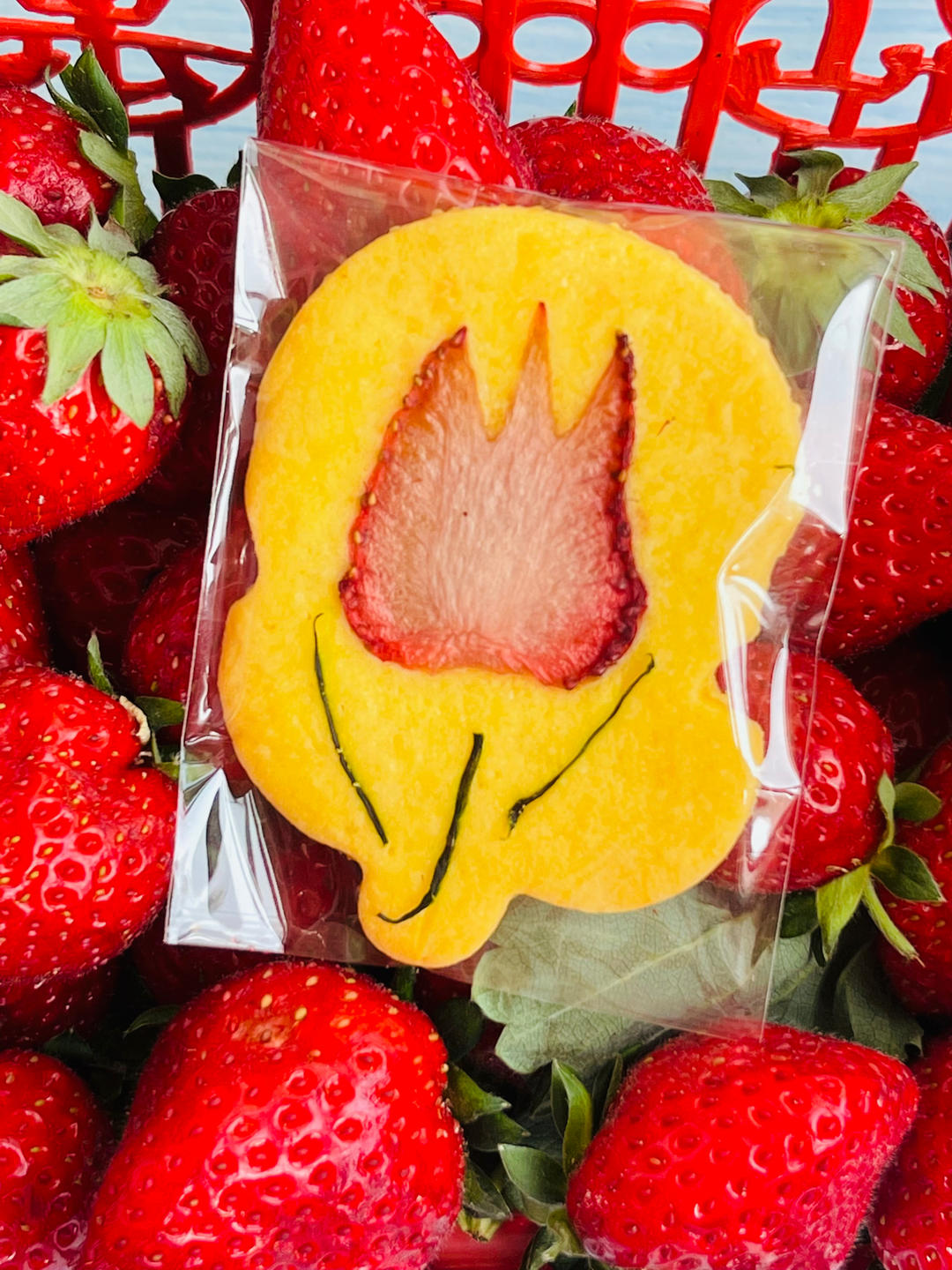 郁金香复古风饼干