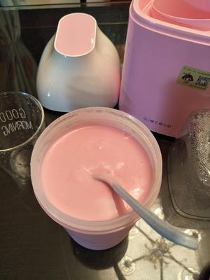 红龙果酸奶的做法 步骤7