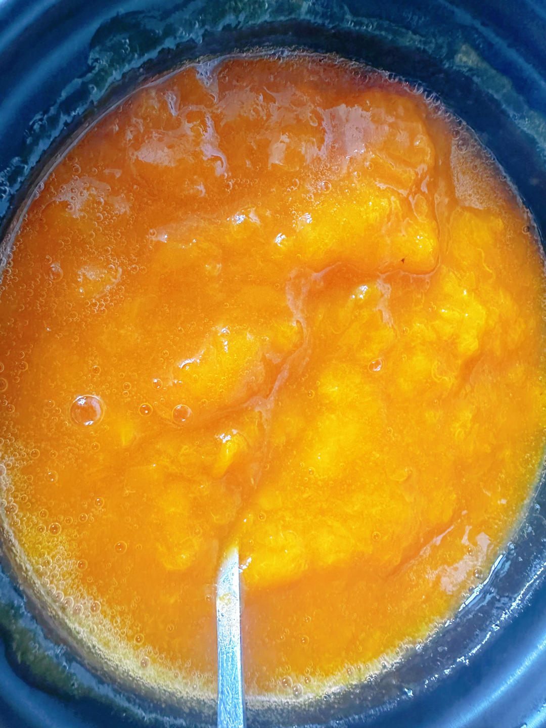 自制杏酱【快手果酱】+杏皮水