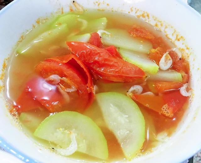 番茄葫芦清汤 超快手！的做法