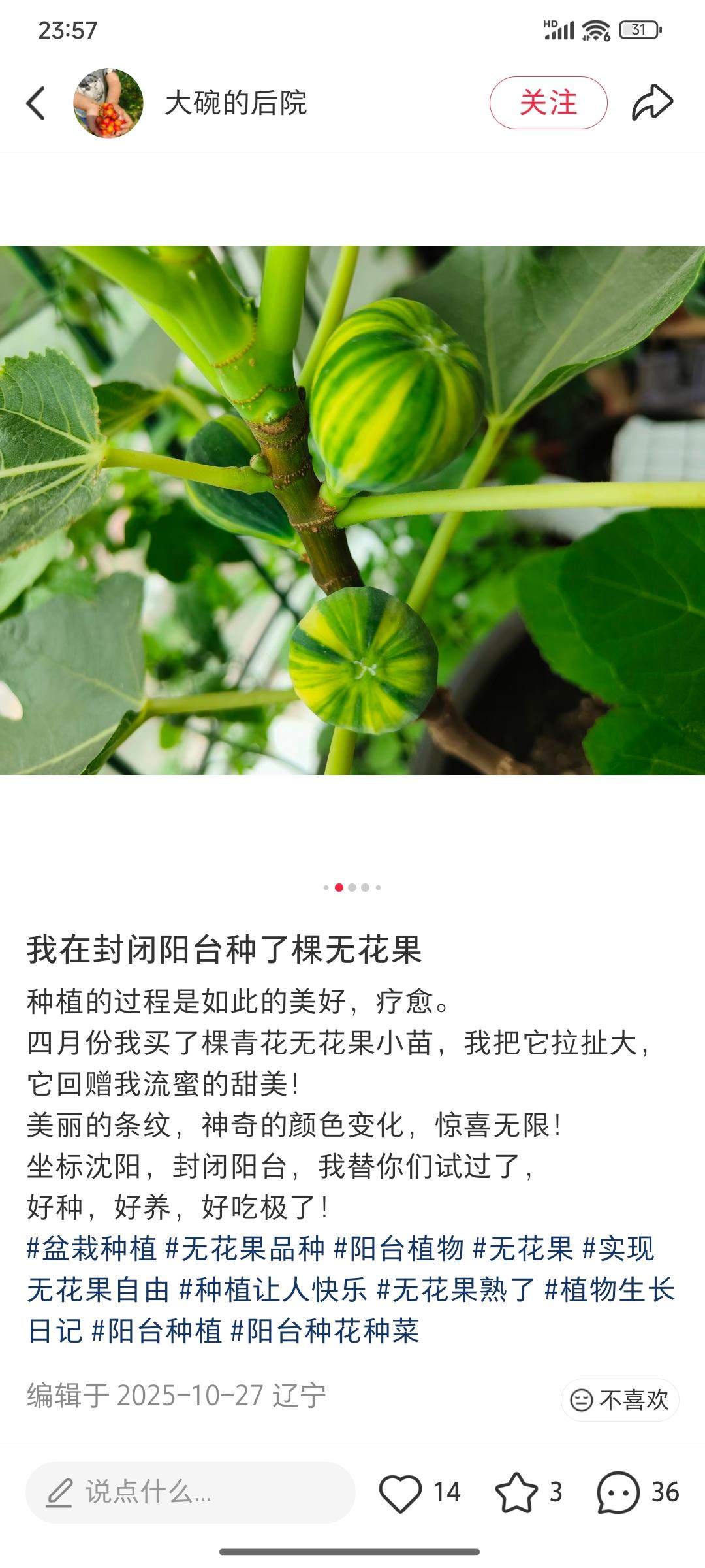 248 适合封闭室内阳台盆栽 早熟品种耐阴丰产新手友好的品种室内用补光灯