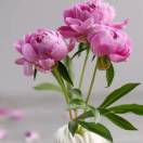 风的季节_i7e5