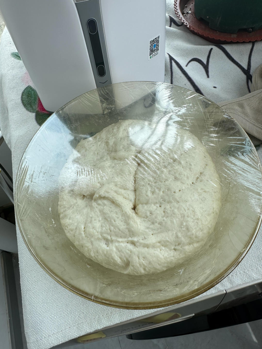 软式起司蒜味面包