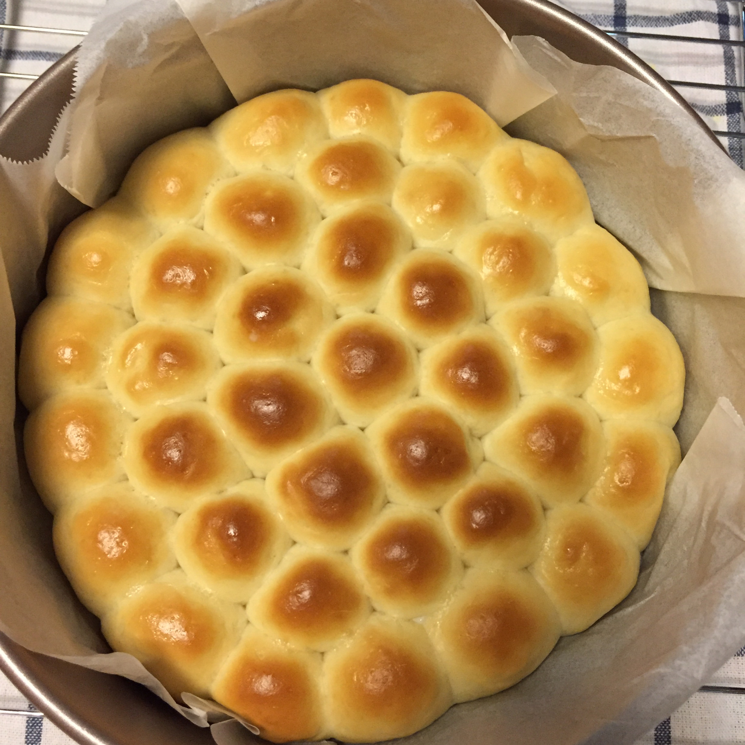 金钱小面包