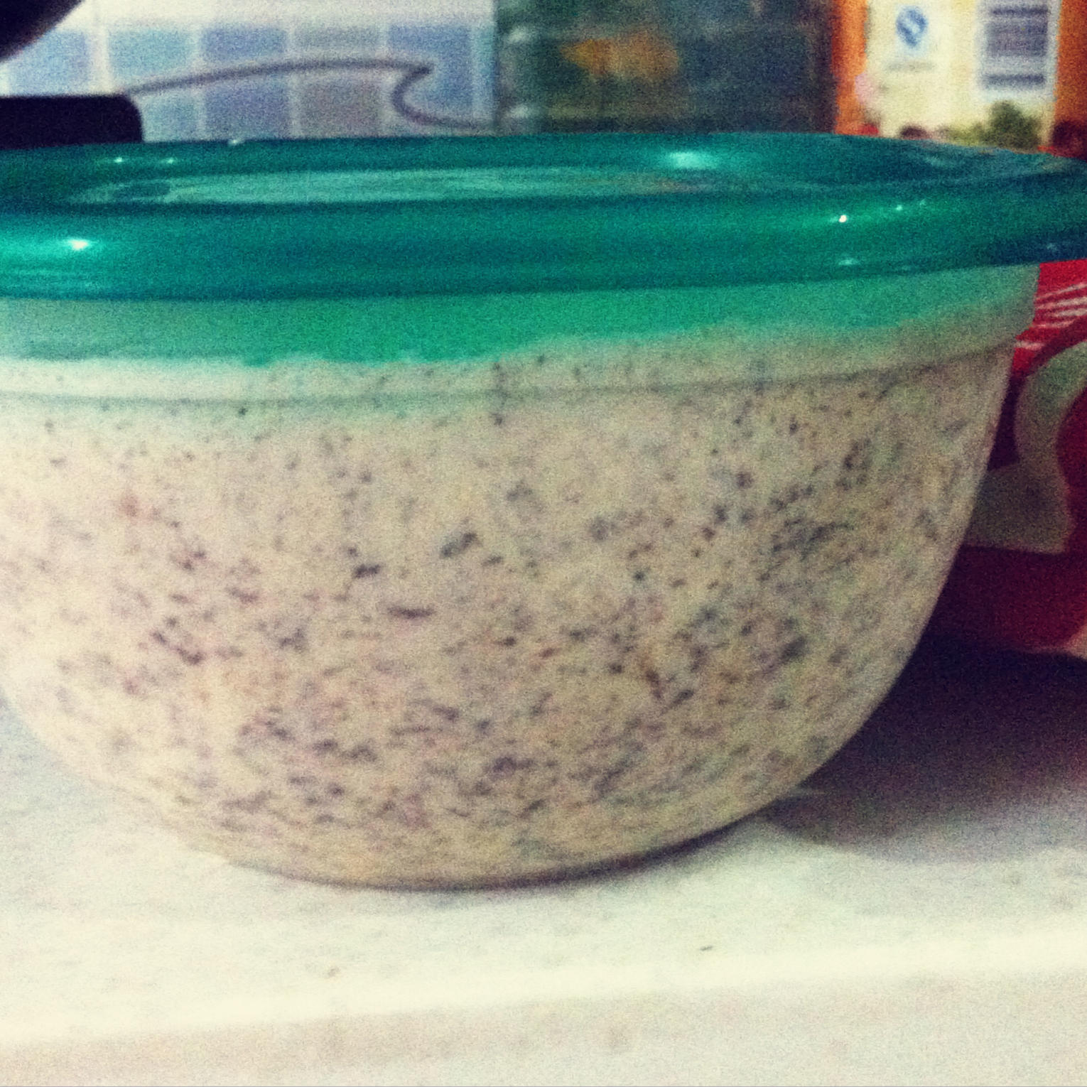 超级无敌好吃的奥利奥牛奶雪糕！！