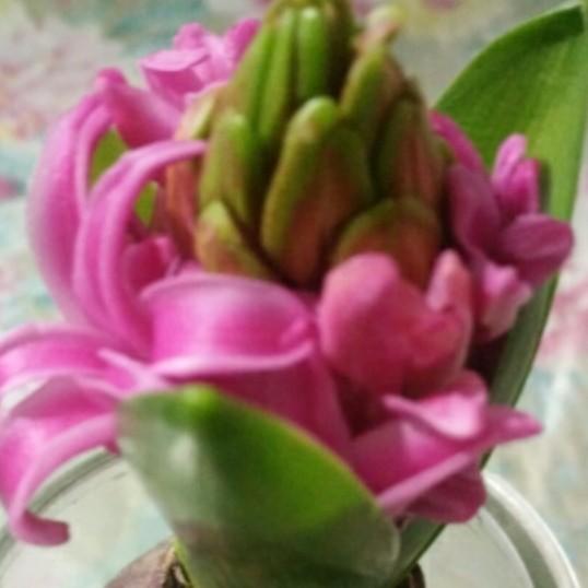 手机用户9291_b04a