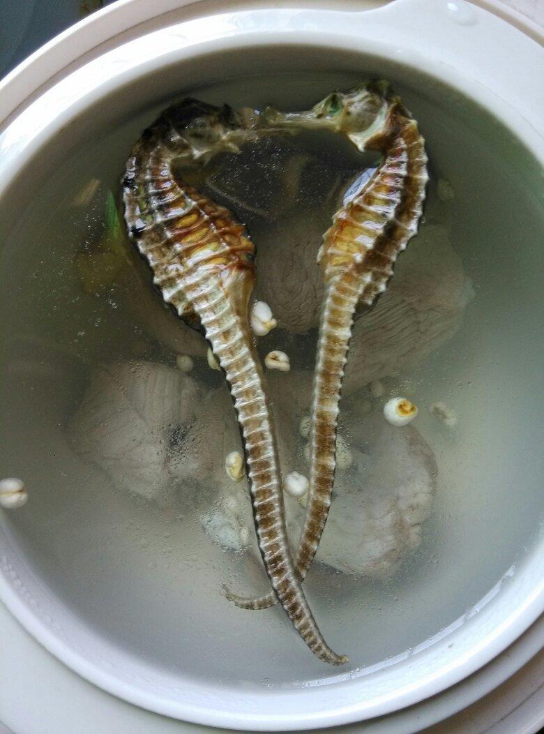 李lee李做的石斛海马养生汤