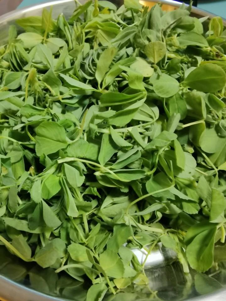 凉拌苜蓿
