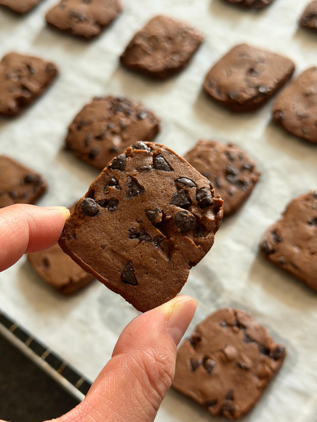 无需任何技巧的可可巧克力豆曲奇饼干，百分百成功，建议新手尝试